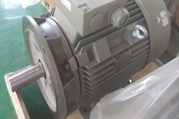 減速單相電機(jī)是哪種類型的電機(jī)？